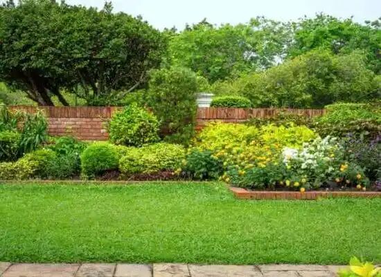 landscaping services Tompkinsville